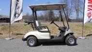 two seat golf cart